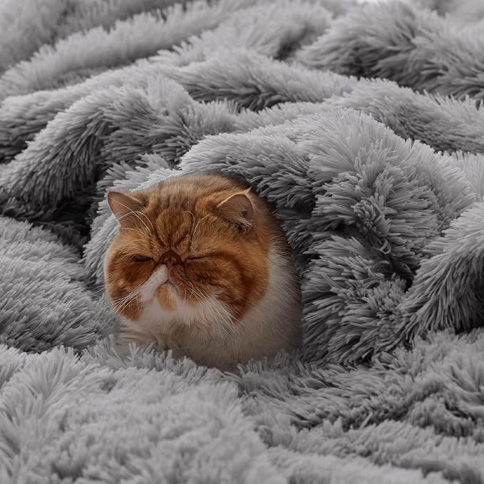 Bedsure GentleSoft Fluffy Grey Throw Blanket, Soft Sherpa Fleece Fuzzy Plush - Image 4