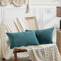 Fancy Homi 2 Packs Teal Lumbar Decorative Throw Pillow Covers 20x28 Inch by Fancy+Homi