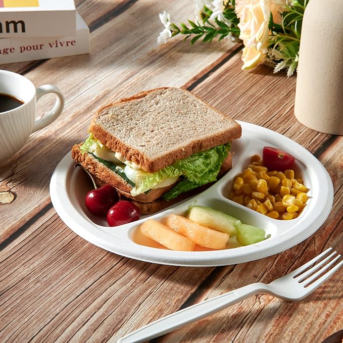 Vplus 100% Compostable Paper Plates, 500 Pack 10 Inch 3 Compartment Plates Disposable, Heavy Duty Biodegradable, Made of Sugar Cane Fibers, for Daily meals, Dinner, Parties, BBQ