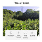 iTeaworld Gongmei White Tea Spring Harvest - Premium Chinese Tea from Fuding Fujian, Low Caffeine Multiple Steeping, Smooth Mellow Taste - Perfect for Daily Drinking & Relaxation - Ideal for Tea Enthusiasts 1 Pack(1.76oz)