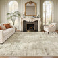 Soalmost Abstract 7x10 Area Rug by Soalmost