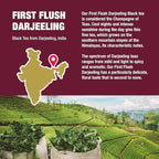 Tiesta Tea - First Flush Darjeeling Black Tea, Loose Leaf, Single Origin Premium Black Tea from India, Pure High-Caffeinated Blend, Makes Hot or Iced & Up to 50 Cups, 4oz Refillable Tin