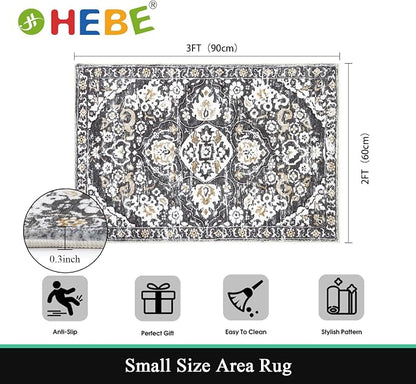 HEBE Indoor Door Mat 2'x3', Washable Welcome Mat - Image 2