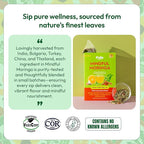 Moringa and Dandelion Tea – With Orange, Cinnamon, Strawberry, and Safflower Petals – Gluten-Free, Vegan, Kosher – Caffeine-Free, Healthy Energy Drink – Herbal Blend for Focus & Wellness (25 Tea Bags)