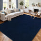 4x6 Area Rugs for Living Room Non Slip Dorm Bedroom Rug, Minimalist Washable by AROGANAREARUG