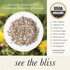 Wild Bliss Organic Wild Raw Dandelion Root Tea - Pharmacopoeia Quality Caffeine Free Herbal Detox Support - 75 Plant Based Tea Bags