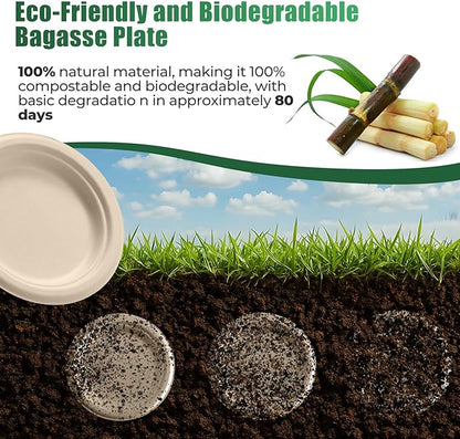 250 Piece Biodegradable Paper Plates Set Disposable Dinnerware Set, Eco Friendly Compostable (EXTRA LONG UTENSILS), Utensil include, Forks, Knives and Spoons for Party andBirthday party, camping