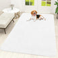 OLANLY Dog Door Mat for Muddy Paws 70x46, Super Absorbent Chenille Mud Mat | by OLANLY