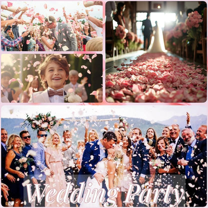 180 PCS Real Pink Dried Rose Petals Confetti for Wedding, 1.75oz Freeze Rose Petals for Romantic Pink Wedding Valentine's Day Proposal Decor, Dinner Centerpieces Party