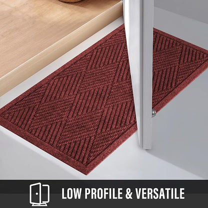 Sturdy Front Door Mat, Absorbent Muddy Dirt Resist Welcome Door Mats Outdoor - Image 6