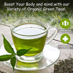 Organic Ceylon Acai Berry Green Tea - 50 Packets - Natural Antioxidant Rich Herbal Leaf Teabags - USDA Certified 100% Non-GMO - Caffeinated Designer Gift Tin