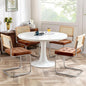 Zesthouse Natural Rattan Dining Chairs Set of 4, Modern Dining Room Chairs by Zesthouse