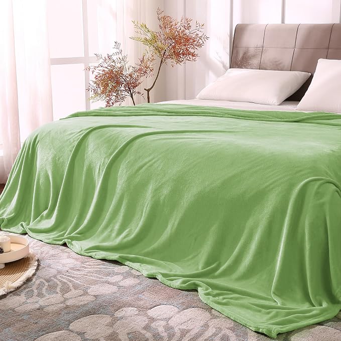 BEDELITE Fleece Blanket Soft Plush Queen Bed Blanket Grass Green 90"x90" | by BEDELITE