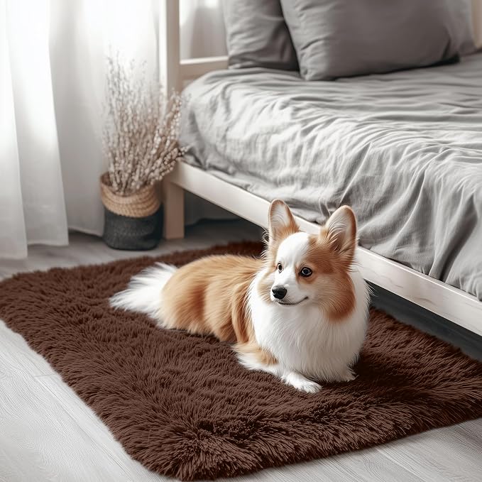 OLANLY 2x3 Machine Washable Small Bedside Rug, Soft Fluffy Shaggy Entryway by OLANLY