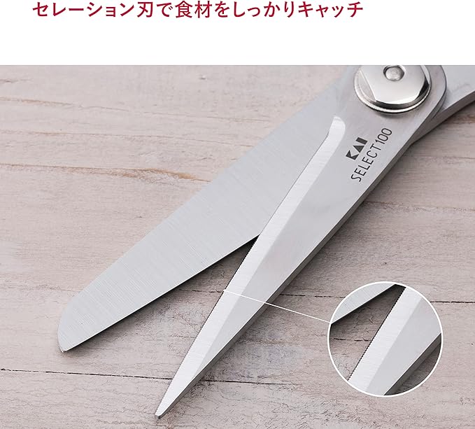 Kitchen Scissors (DH-3005)