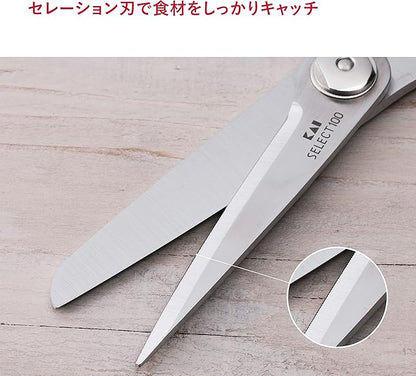 Kitchen Scissors (DH-3005)