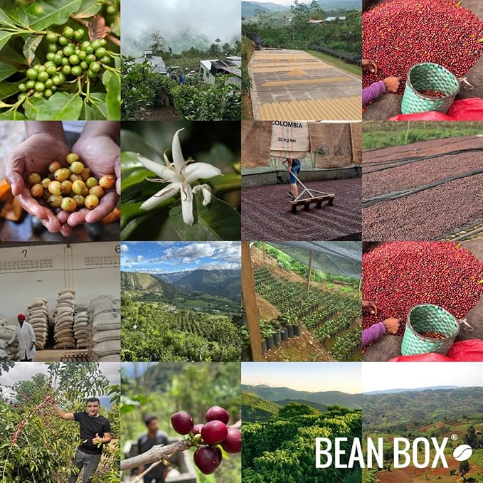 Blue Orchid - Roasted by Huckleberry Roasters - Whole Bean Coffee - 2 Pound Bag