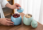 Kitchen Canisters Vintage Ceramic Food Storage Jar with Airtight Lid for Tea, Coffee, Herb, Sugar, Spice, Nuts (Green(ICE))