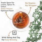 BREWIX, Royal Orange Spice Black Tea (25 Pyramid Tea Bags) | Premium Caffeinated Blend with Zesty Orange & Warming Spices | Warming Winter Blend Perfect for the Holidays | Iced Tea Bags | Sugar-Free