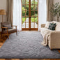 5x7 Ft Shag Area Rug for Bedroom, Ultra Soft Fluffy Furry Rugs for Living Room by Cuzwlovita