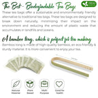 FreshDrinkUS, Premium 175 Green Tea Bags, 100% Natural & Pure from Green Tea. Green Herbal Tea. Made with Natural Material Tea Bags. No Sugar, No Gluten, Vegan