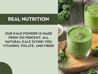 Ancient Roots Kale Powder - All-natural Vegetable Powder, No Sugar Added, No Preservatives, Supports Heart Health, Natural Source of Fiber - 3.5 ounces (20 servings)