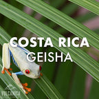 Geisha Coffee Costa Rica, Ground, Fresh Roasted, 5 lbs