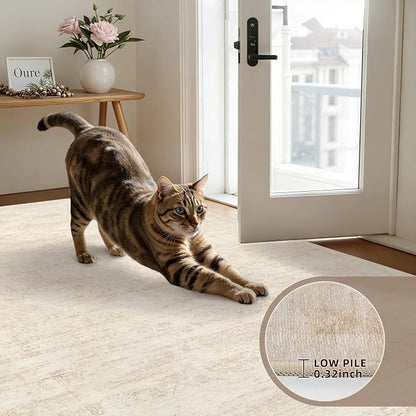 5x7 Area Rugs Living Room: Bedroom Washable Carpet Retro Beige | Large Vintage - Image 7