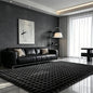Black Rabbit Plush Rug 4'x6', Fluffy Shaggy Area Rug by CHOVY