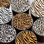 Leopard 5.5x5.5in Cheetah Animal Cow Print Skin Reusable Painting Template Stencils for Cake, Cookie Decorating & DIY Projects