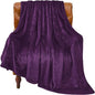 BEDELITE Fleece Blanket Soft Plush Twin Size Blanket Purple 60"x80" | Ultra by BEDELITE