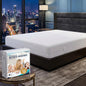 Utopia Bedding Mattress Protector Zippered Twin Size, 100% Waterproof Bed Bug by UTOPIABEDDING