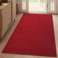 3x5 ft Area Rug Entryway Runner Kitchen Rugs Non Slip Washable Red | Boho Woven by YDKGL