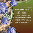 Teeccino French Roast Chicory Coffee Alternative - Ground Herbal Coffee That’s Prebiotic, Caffeine-Free & Acid Free, Dark Roast, 11 Ounce (Pack of 6)