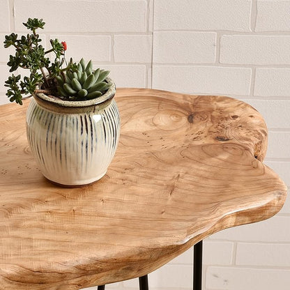 WELLAND Live Edge Cedar End Table, Unique Desktop Side Table, Natural Clear - Image 8