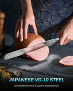 KYOKU Gin Series 12" Brisket Slicing Knife, Meat Carving Knife with Silver PVD Coating Mosaic Pin Handle for Professional Chef & Home Cook, Japanese VG10 Steel Slicer for Meat Fruit Vegetables