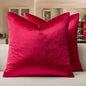 GIGIZAZA Red Velvet Pillow Covers 22x22 Decorative Pillows Pack of 2 | Throw by GIGIZAZAFocusingonhomedecoration