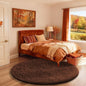 Ophanie Round Rug 4Ft Brown Circle Area Rug, Fluffy Fuzzy Small Bedroom Carpet by Ophanie
