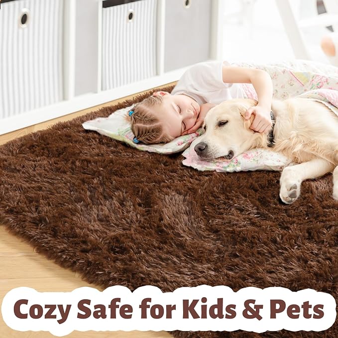 Amdrebio Chocolate Brown Fluffy Area Rug 4x6 - Image 2