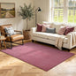 3x5 Red/White Area Rug Washable Non-Slip Soft Thin by Unknown