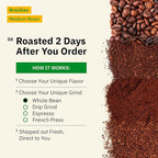 Brazilian Santos Medium Roast Coffee Beans - Single Origin Arabica Coffee Beans, Freshly Roasted to Order, Whole Bean Coffee Low Acid with Smooth Cocoa Notes, Specialty Grade and Fair Trade - 5LB