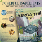 Ancient Diosa - Yerba Mate Tea Powder 350g, 35-Servings - Kiwi Flavor Clean Energy Drink Superfood - Support Gut Health with Probiotics and Prebiotics, Reduce Brain Fog, Relaxation and Focus Blend