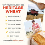 Sunrise Flour Mill Heritage Organic Bread Flour Blend - 5 lbs | Organic Unbleached Bread Flour Easy to Digest with Less Bloating | High Protein, Superior Baking | Smooth, Nutty Flavor