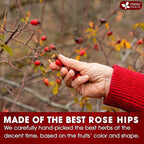 FreshDrinkUS, Premium 135 Rosehip Tea Bags, 100% Natural & Pure from Rose Hip Fruits. Loose Rosehip Herbal Tea. Made with Natural Material Tea Bags. No Sugar, No Caffeine, No Gluten, Vegan.