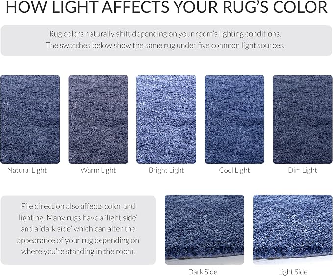 SAFAVIEH Area Rug 4x6 - Image 10