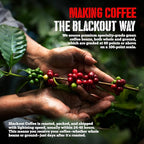 Blackout Coffee Hazelnut Creme Flavored - Freshly Roasted in the USA - 12 oz Ground Coffee Pouch