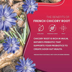 Teeccino Vanilla Nut Chicory Coffee Alternative - 11 Ounce - Ground Herbal Coffee That’s Prebiotic, Caffeine Free & Acid Free, Medium Roast, (Pack of 3)