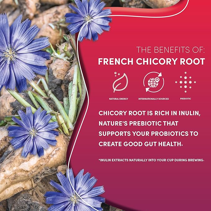 Teeccino Vanilla Nut Chicory Coffee Alternative - 11 Ounce - Ground Herbal Coffee That’s Prebiotic, Caffeine Free & Acid Free, Medium Roast, (Pack of 3)