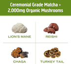 OM MUSHROOM SUPERFOOD Matcha Latte Blend Mushroom Powder, Single Serve, 10 Count, Green Tea, Lion's Mane, Reishi, Chaga, Turkey Tail, Focus & Stress Support Supplement
