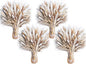 440PCS Natural Pampas Grass Mix Bouquet | Dried Pampas Bouquet by Naturalpampa